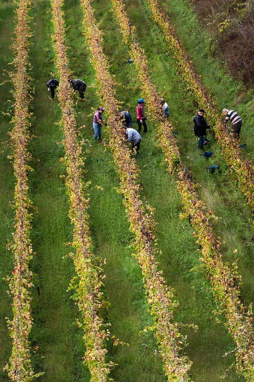 Wine Resort Villagrande 밀로 외부 사진