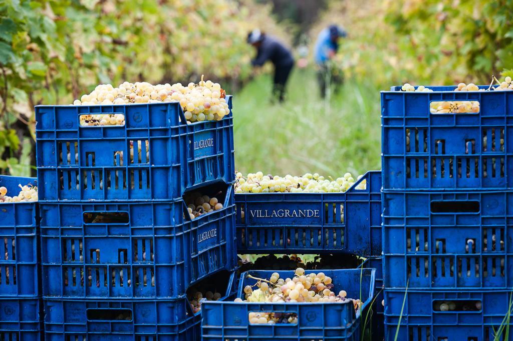 Wine Resort Villagrande 밀로 외부 사진