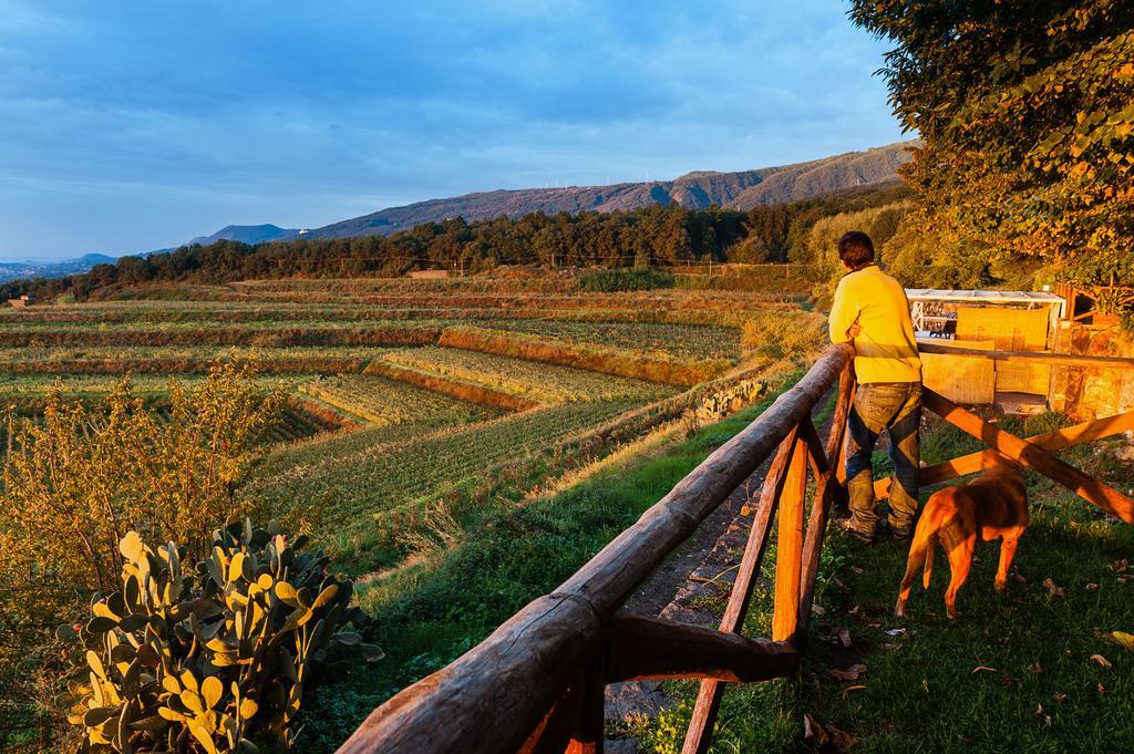 Wine Resort Villagrande 밀로 외부 사진